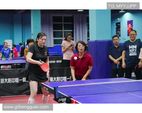 乒乓球的魅力与团队精神南京乒乓球队协作之道深度解析