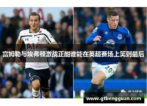 富姆勒与埃弗顿激战正酣谁能在英超赛场上笑到最后