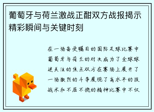 葡萄牙与荷兰激战正酣双方战报揭示精彩瞬间与关键时刻