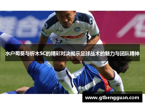 水户蜀葵与析木SC的精彩对决揭示足球战术的魅力与团队精神