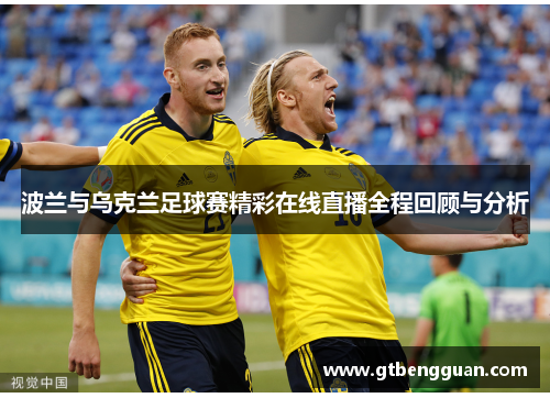 波兰与乌克兰足球赛精彩在线直播全程回顾与分析